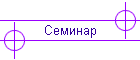 Семинар